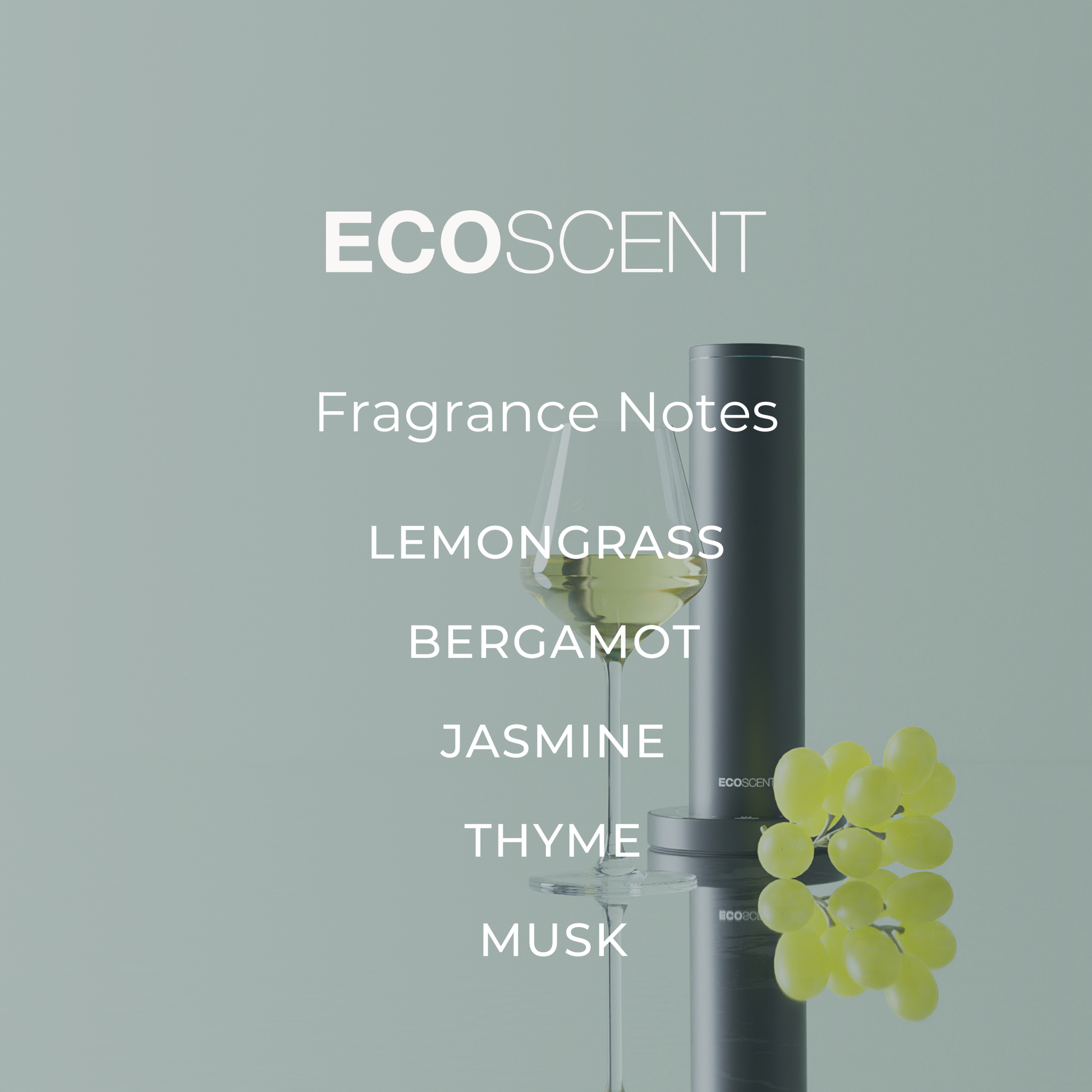 EcoScent fragrance composition image with top, heart and base notes