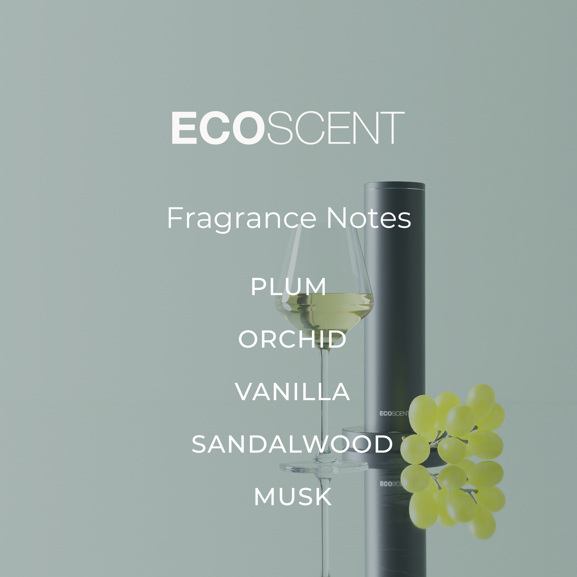 EcoScent fragrance notes displayed in a modern interior setting