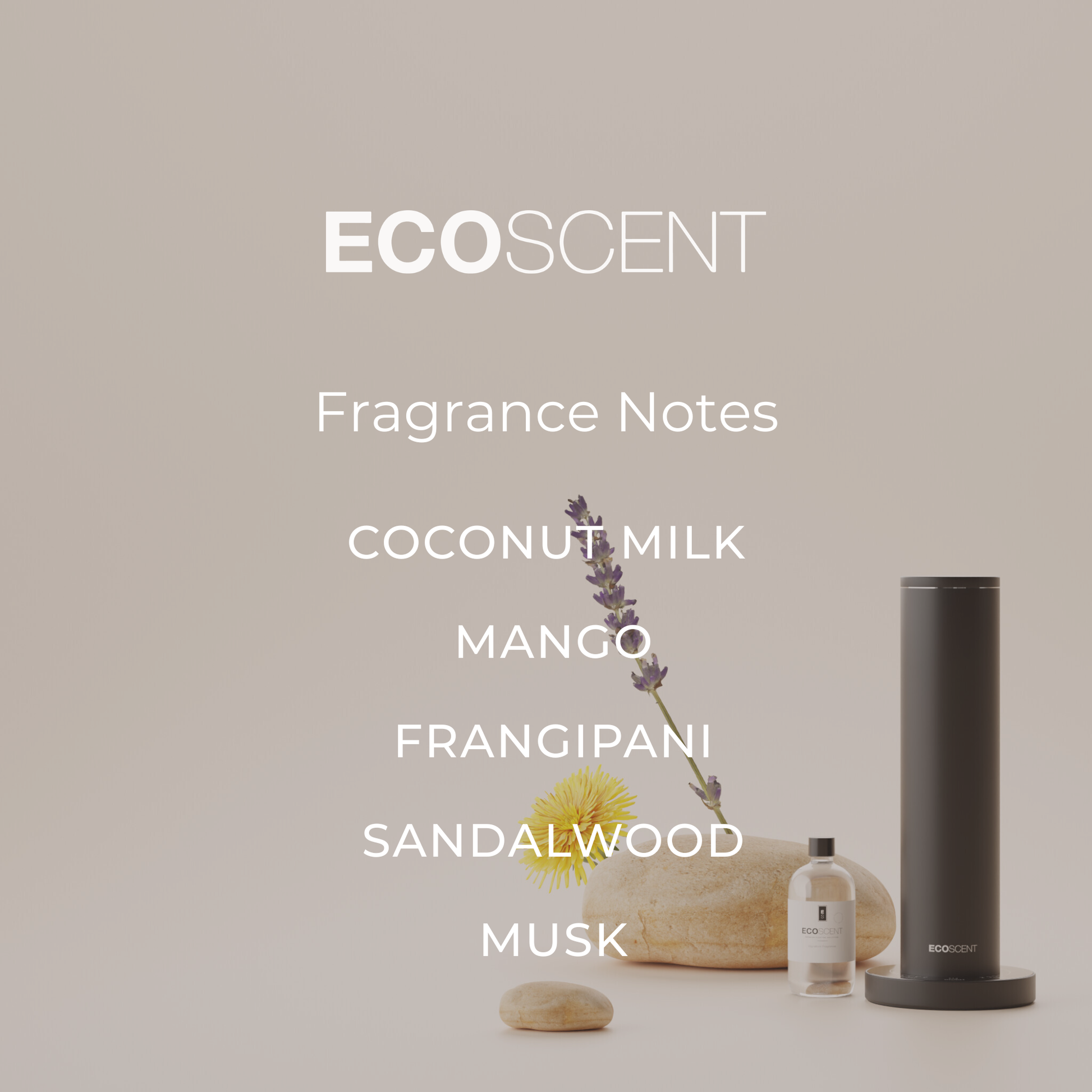EcoScent fragrance notes displayed in a modern interior setting