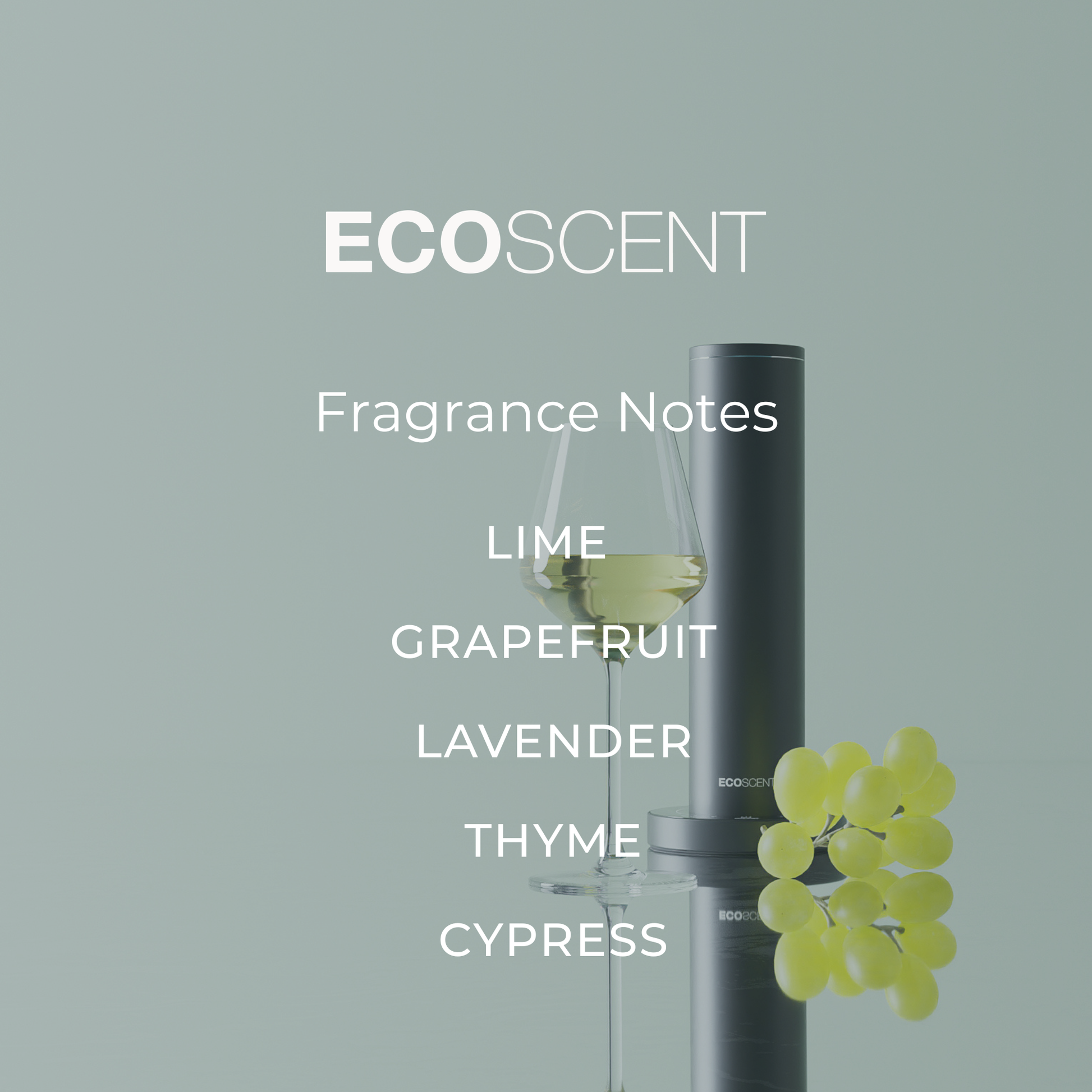 EcoScent fragrance notes displayed in a modern interior setting