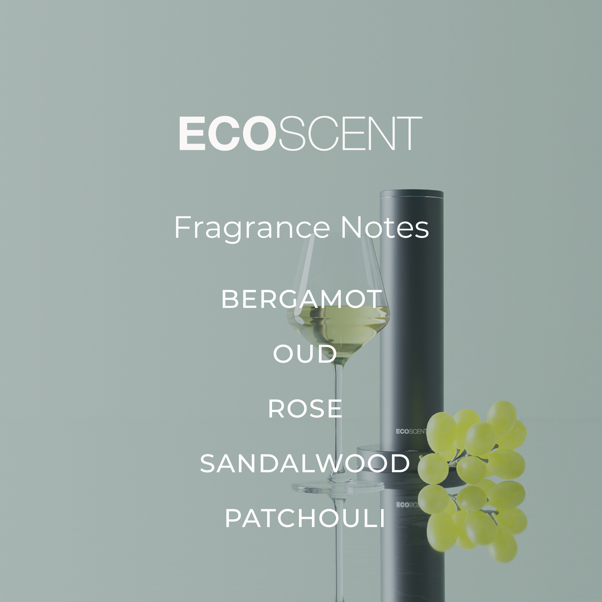 EcoScent fragrance notes displayed in a modern interior setting