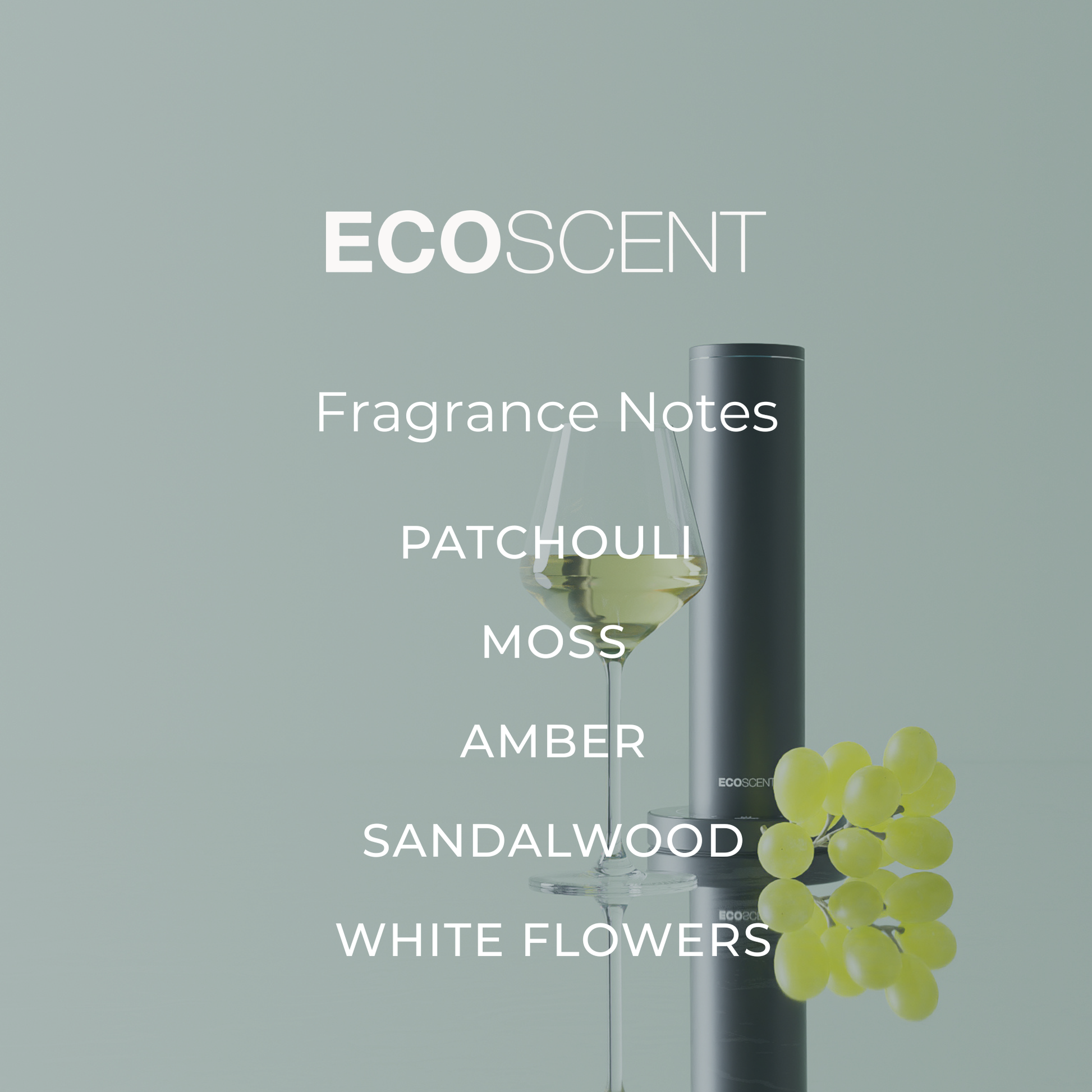 EcoScent fragrance composition image with top, heart and base notes