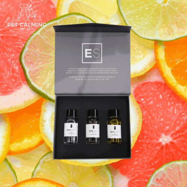 Citrus & Calm Fragrance Collection Box