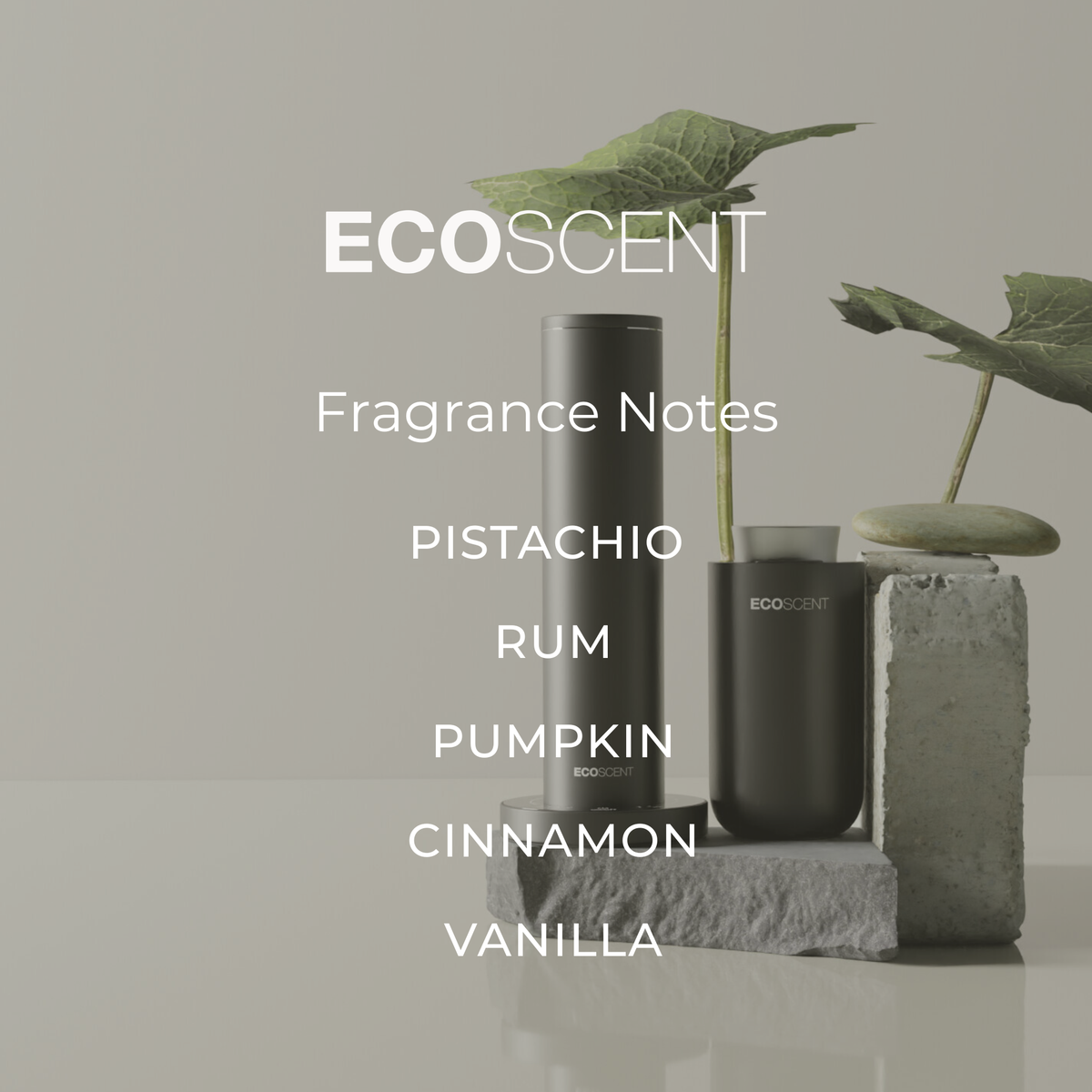 EcoScent fragrance notes displayed in a modern interior setting