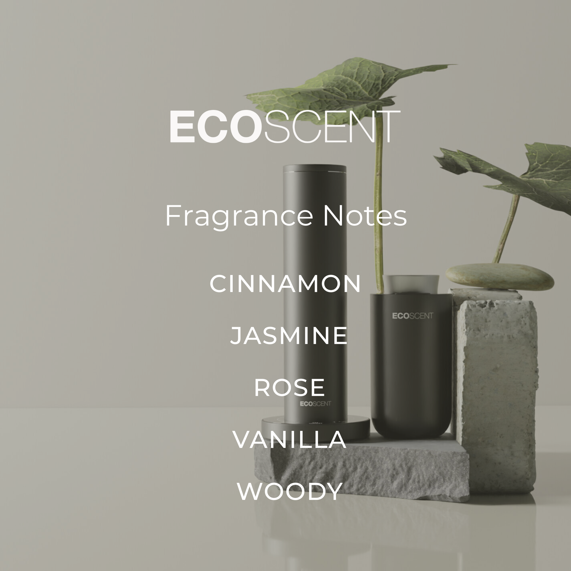 EcoScent fragrance notes displayed in a modern interior setting