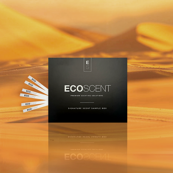 A black ECO SCENT signature scent sample box is centered against a warm golden desert dune background, with five white sample strips fanned out to the left.