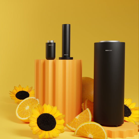 Summer Collection
