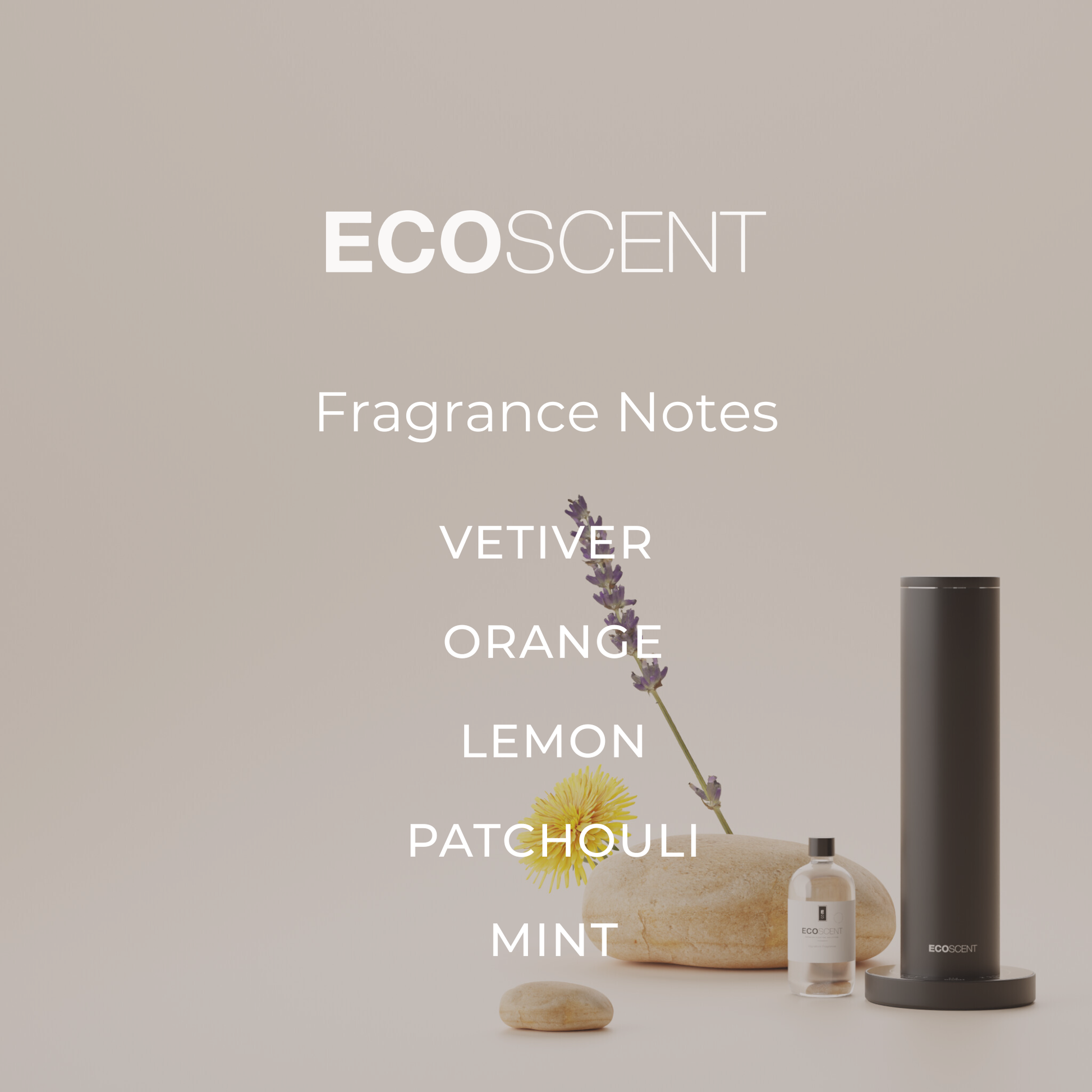 EcoScent fragrance composition image with top, heart and base notes
