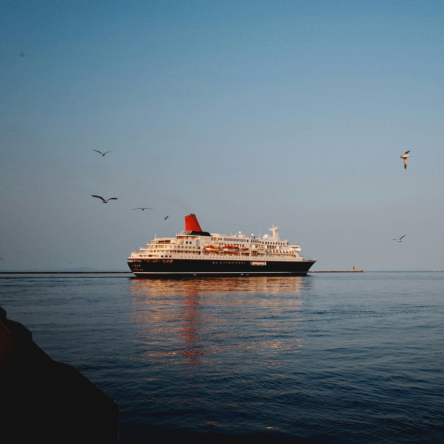 A large cruise ship with a red smokestack stands on calm blue water under a clear sky, with several birds flying in the background.