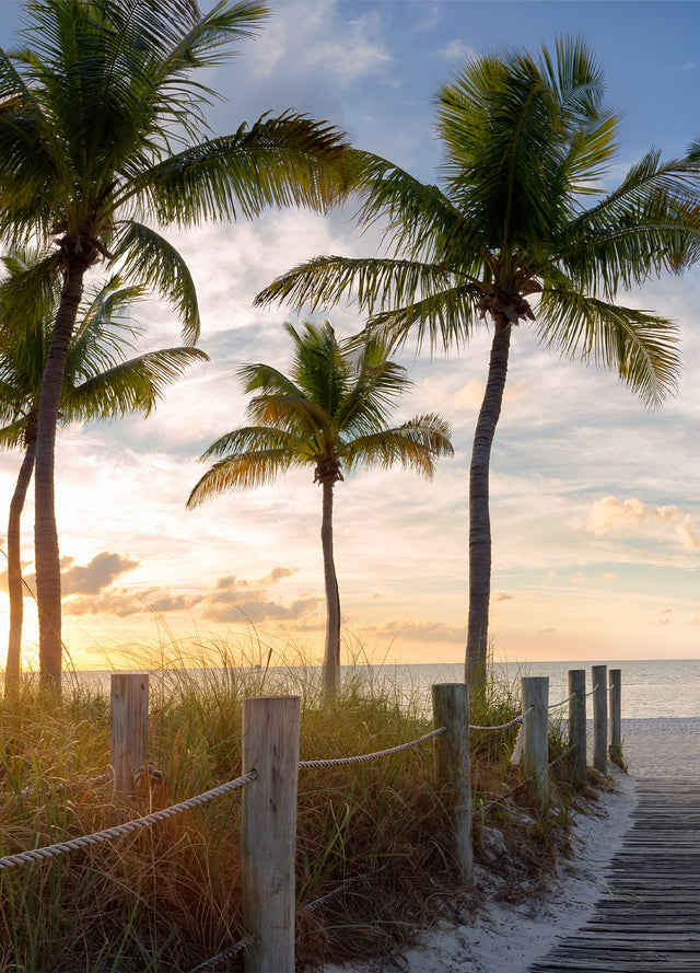 Ecoscent Summer Signature Scents Samples, a set of six 2ml fragrance vials, displayed against a backdrop of palm trees and a sunset, emphasizing the tropical theme of the product.