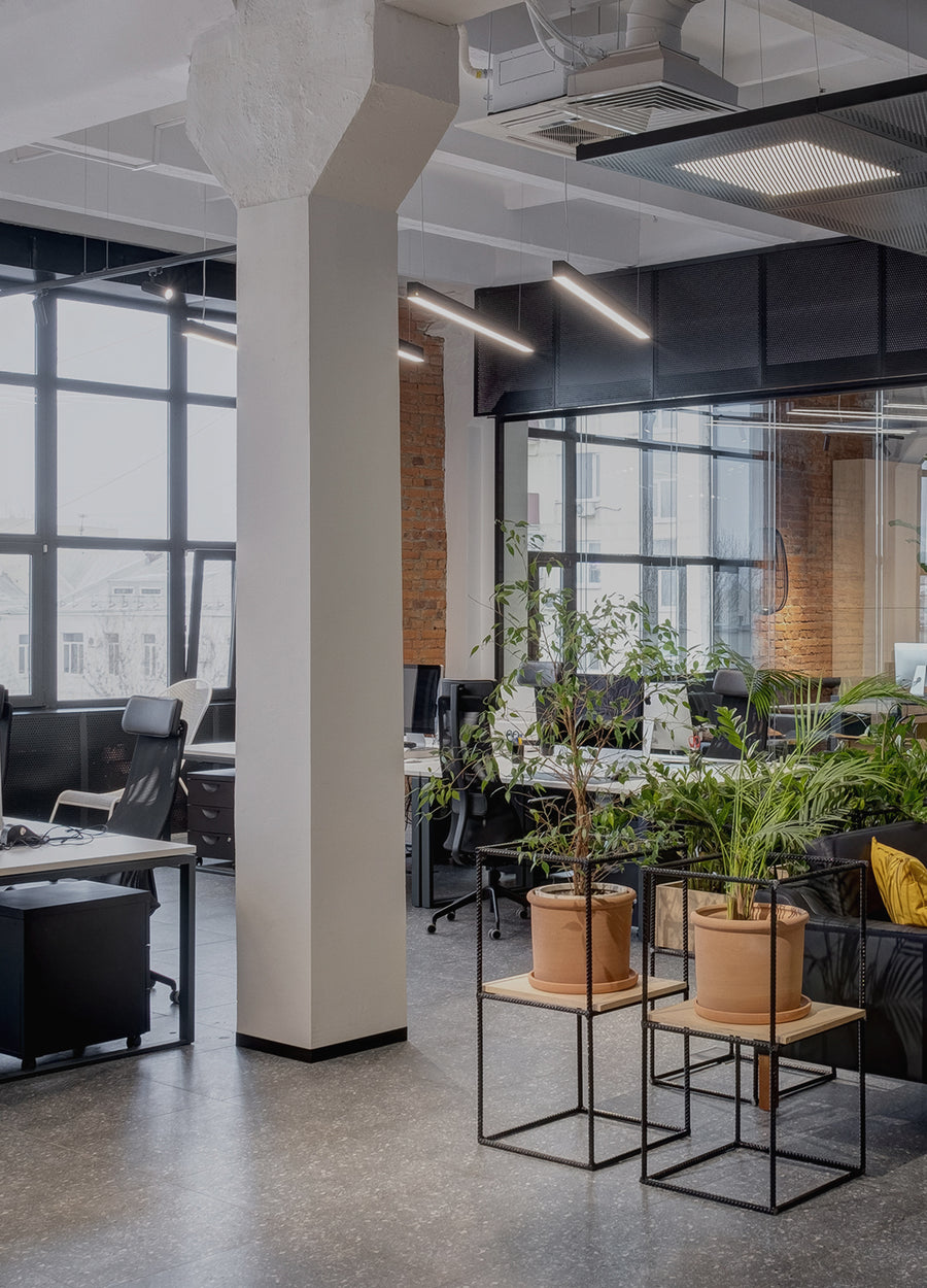 EcoScent Premium Scent Solutions Office & Workspaces Signature Scents Samples, comprising six 2ml vials, designed for use in various office environments to enhance the ambiance.